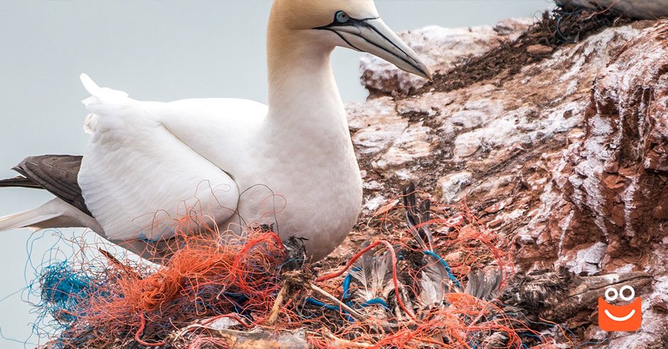 Zero waste: Život bez plýtvání a odpadu