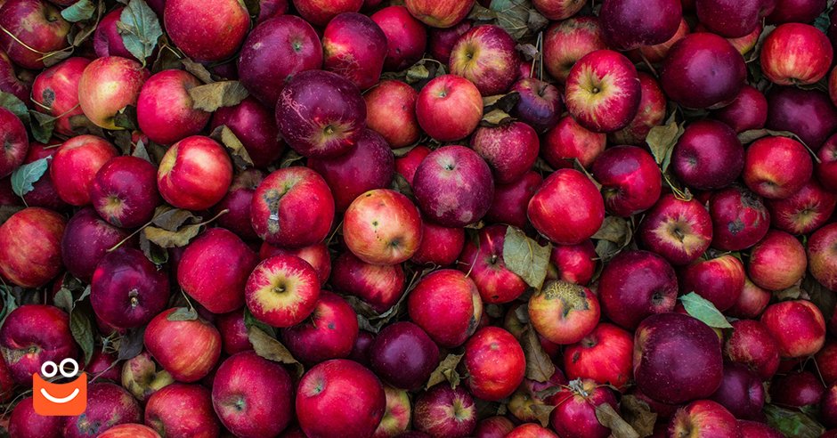 Milujete cider? Ukážeme vám, jak si ho vyrobíte doma