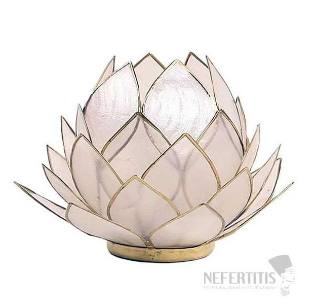 Nefertitis svícen