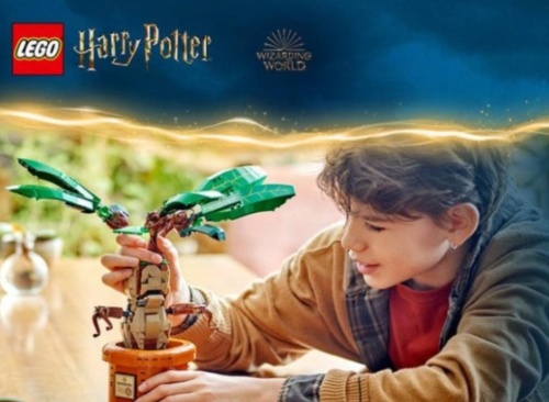 chlapec se stavebnicí z Harry Potter