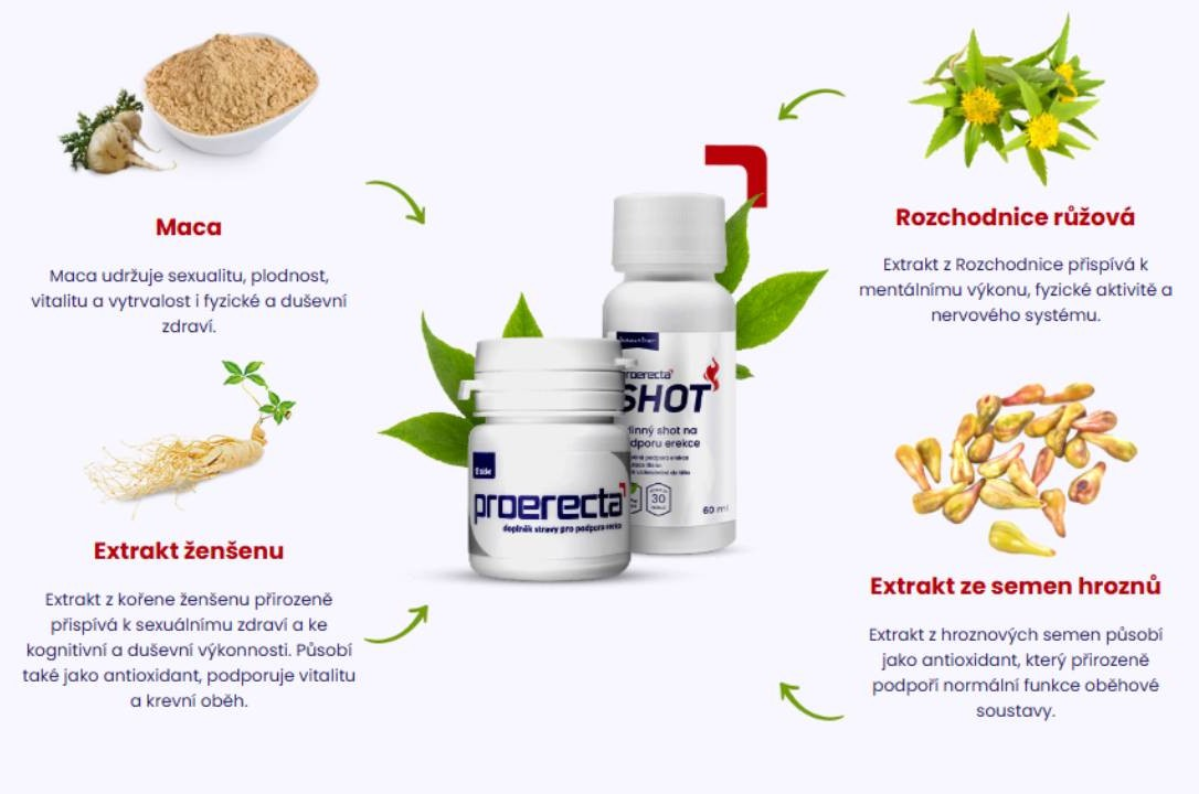 proerecta - produkt