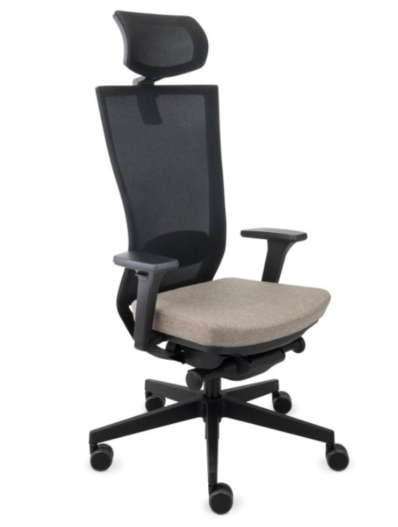 eZidle ergonomická židle