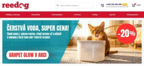 kočka před bedýnkou v obýváku