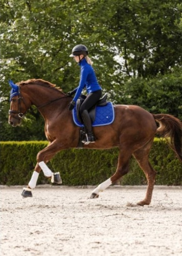 jezdkyně v jezdecké výstroji na koni