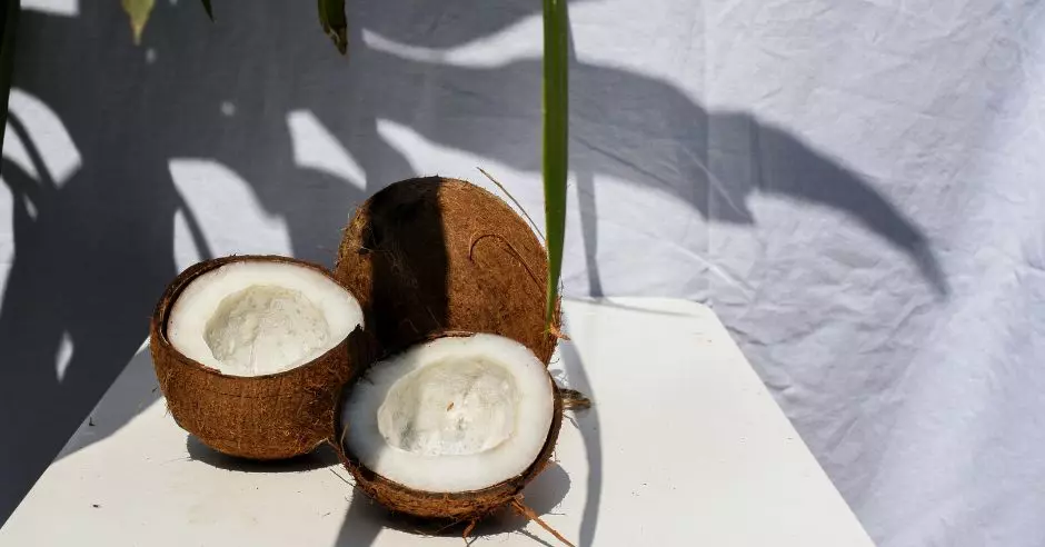 kokosove-orechy-stul