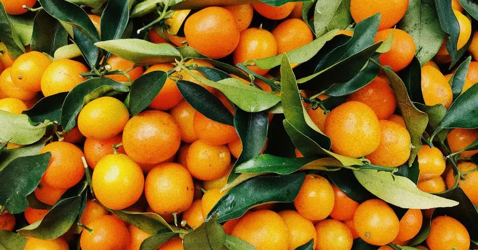 jak-vybrat-mandarinky