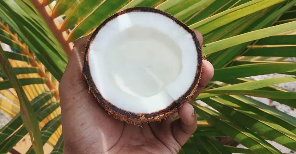 ruka-palma-kokos